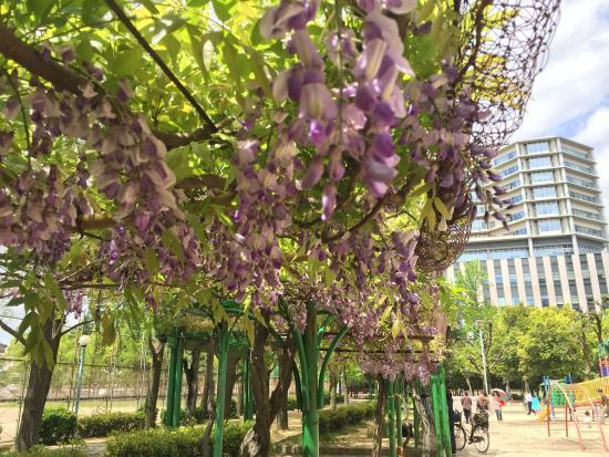 Shimo-fukushima Park